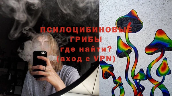 шишки Абдулино