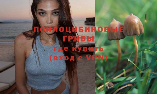 герыч Абинск
