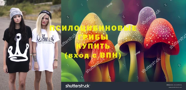 шишки Абдулино