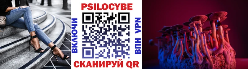 где купить наркоту  Мамадыш  Галлюциногенные грибы Psilocybine cubensis 